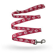 Cincinnati Reds Pet Merchandise